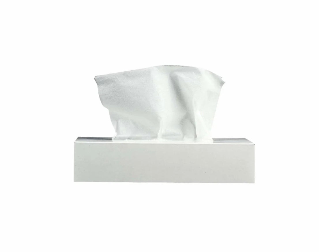 Snow White Tissue 2 Ply x 80 Sheets