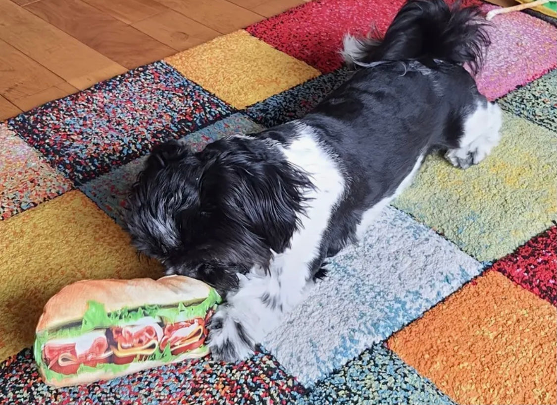 Appetizing Sandwich Plush Squeaky Toy