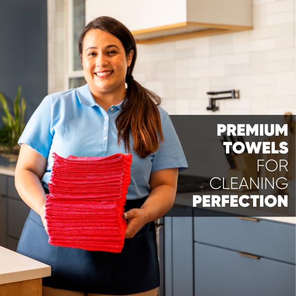 Microfiber Wholesale 12" x 12" MW Pro Multi-Surface Cleaning Cloths | Gray - 12 Pack | Premium Towels for Cleaning Glass, Kitchens, Bathrooms, Automotive, Supplies & Products
