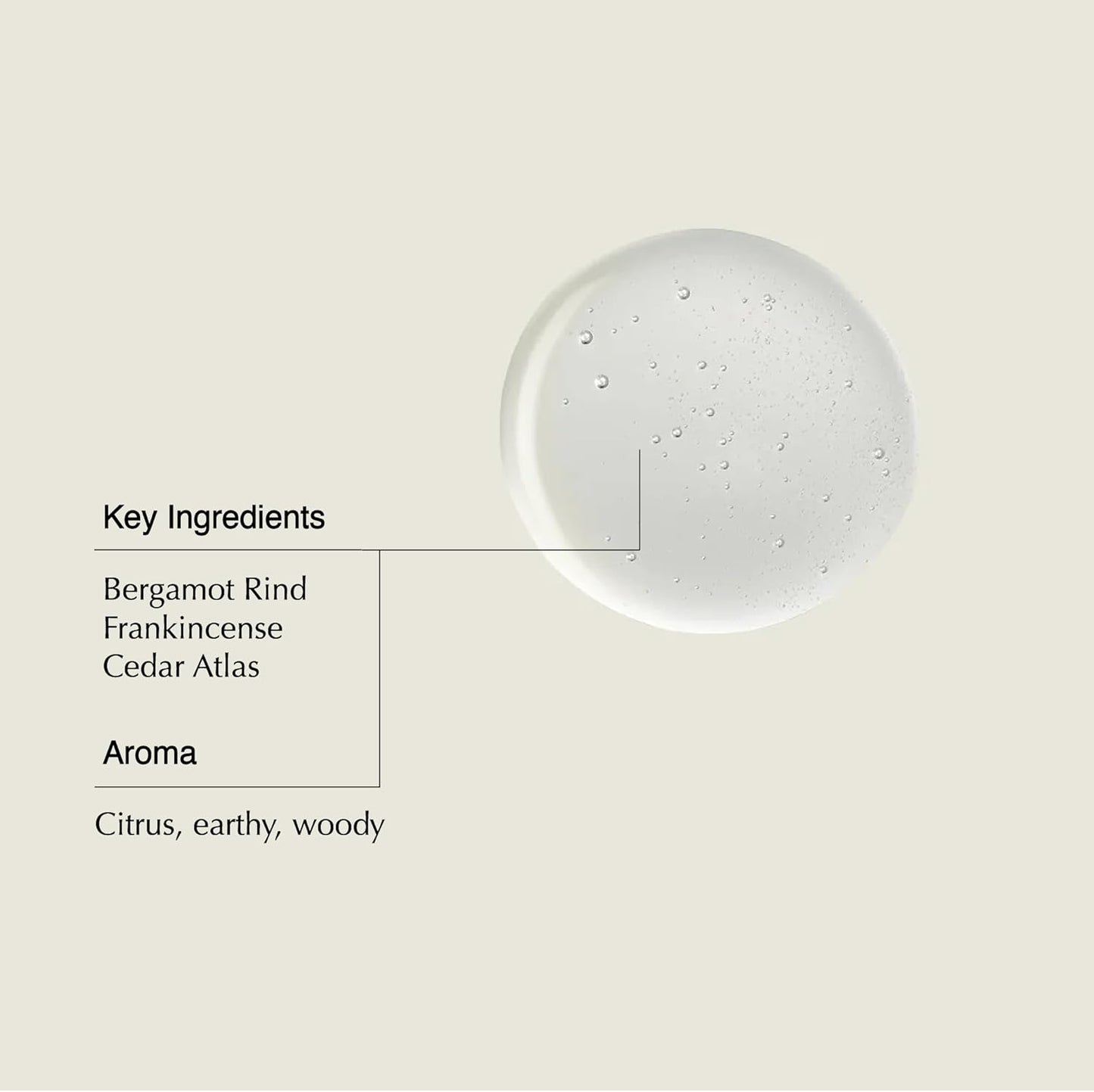Aesop Shampoo | Enlivening Shampoo For Soft, Shiny, Fragrant Hair | With Frankincense and Panthenol | 16.9 oz