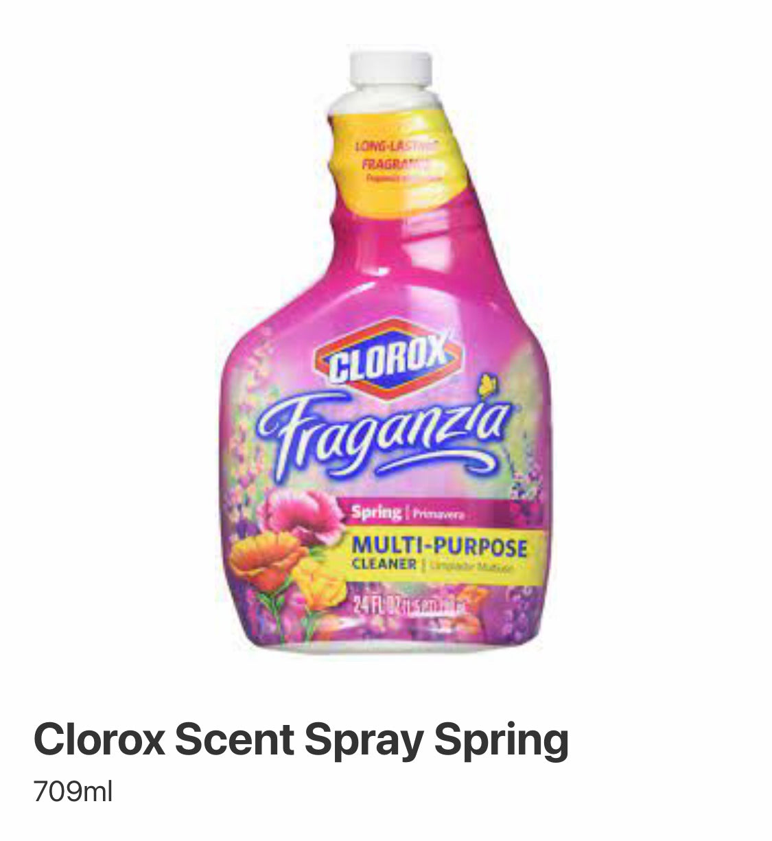 Clorox multi-purpose cleaner