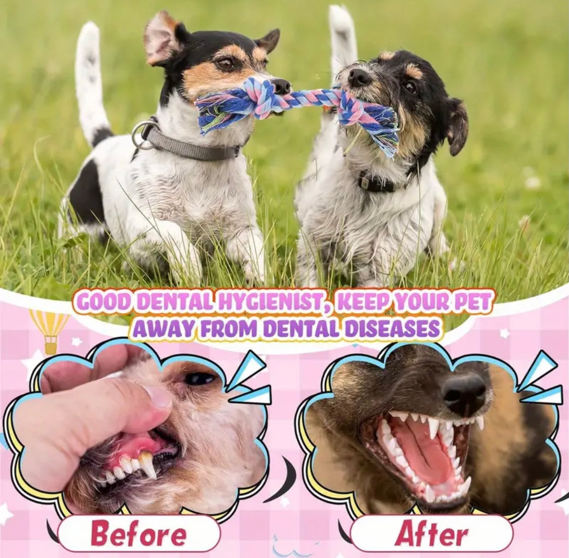 Durable Cotton Rope Dog Chew Toys for Puppies