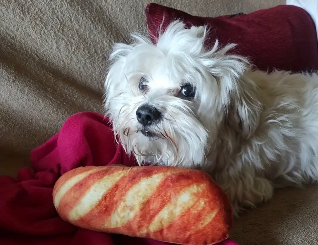 Interactive Squeaky Bread