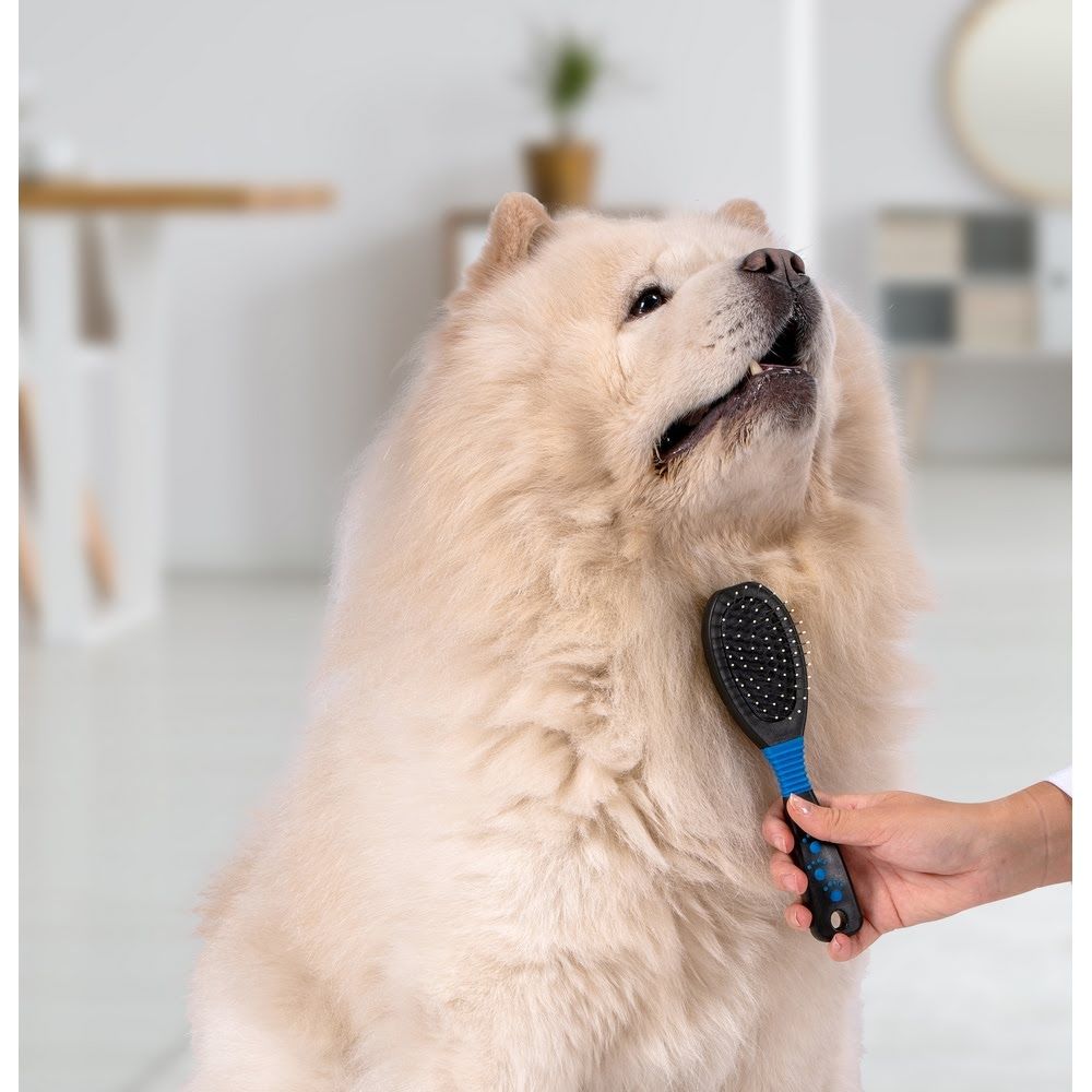 Pet Brush Oval 2in1