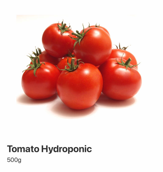 Tomato Hydroponic  500g