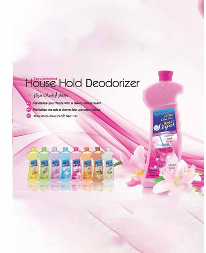 Loyal Multi-Purpose Concentrated Household Deodorizer (Red Rose, 700 ml)