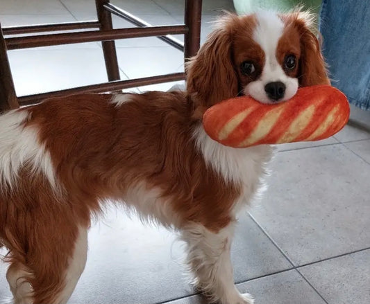 Interactive Squeaky Bread