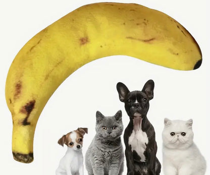 Banana-Shaped Squeaky Dog Toy