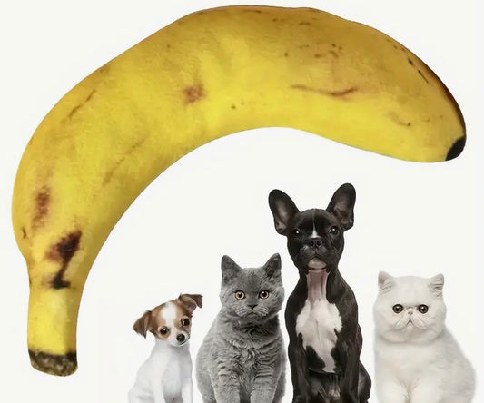 Banana-Shaped Squeaky Dog Toy