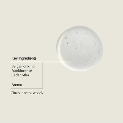 Aesop Shampoo | Enlivening Shampoo For Soft, Shiny, Fragrant Hair | With Frankincense and Panthenol | 16.9 oz