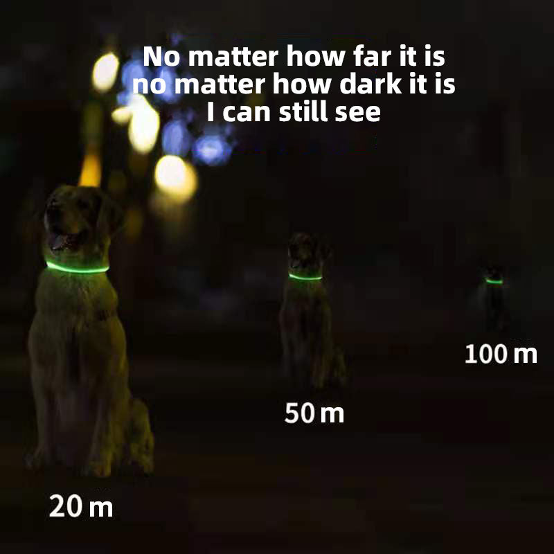 Pet Luminous Led Collar Flashing At Night