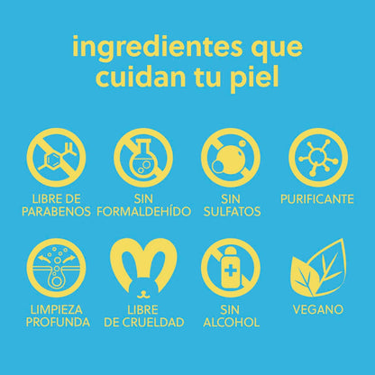 Tree Hut Pruifying Blueberry Turmric Face Scrub