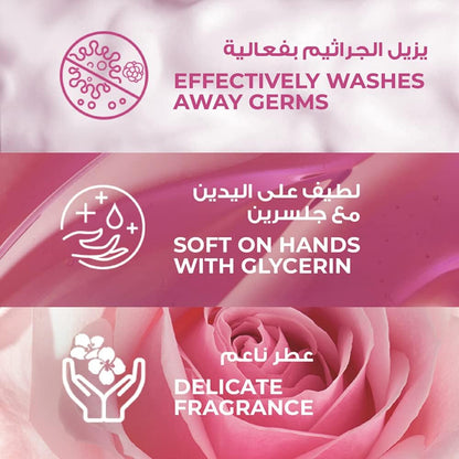 LUX Perfumed Liquid Hand Wash 500ml x2