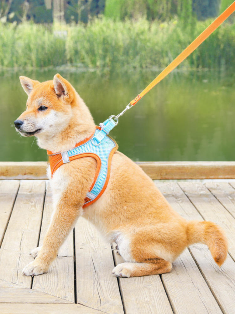 Vest Pet Leash Cat Dog Chest Strap Breathable Reflective Dog Walking Chain