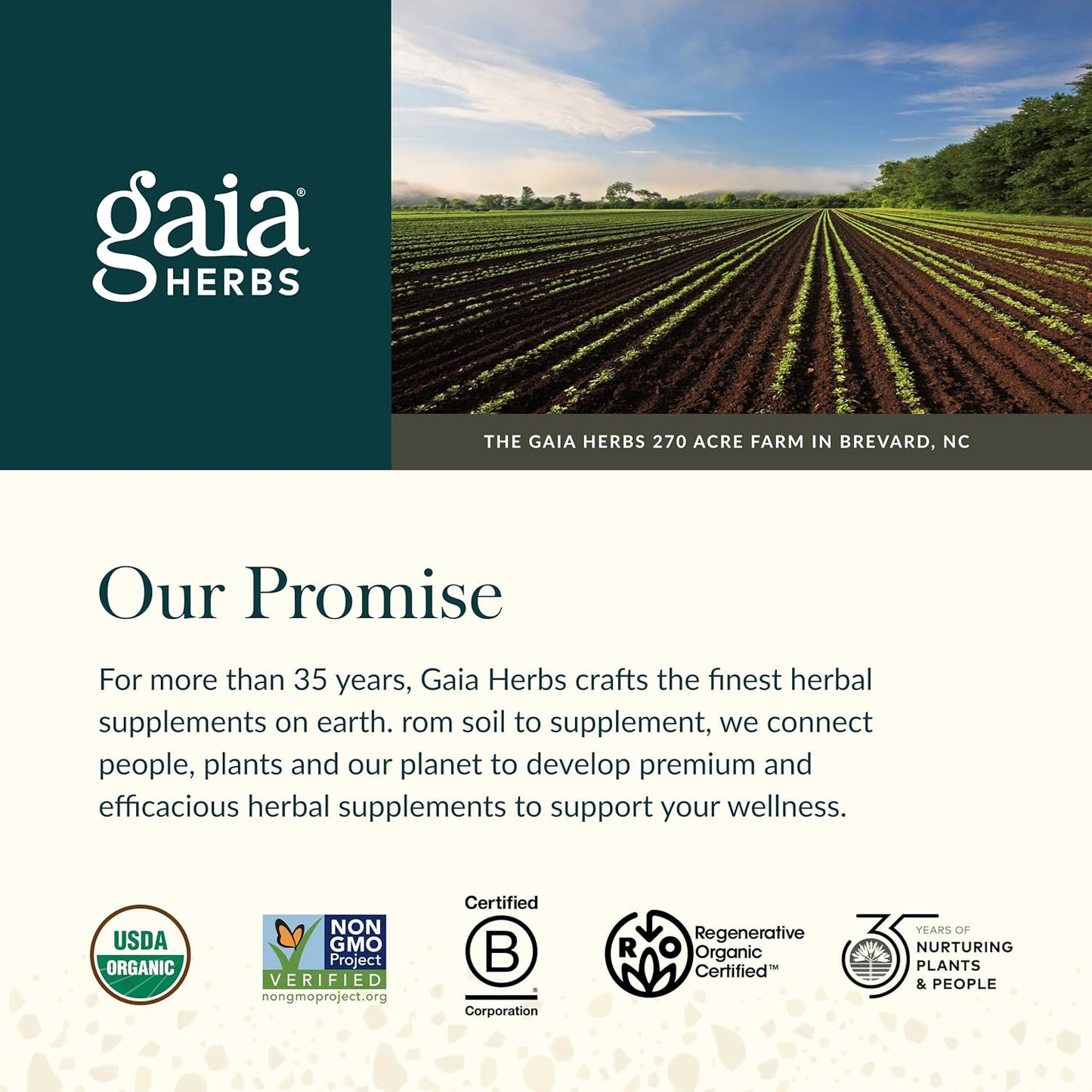 Gaia Herbs Maca Root - Caffeine-Free Natural Energy Supplement 60