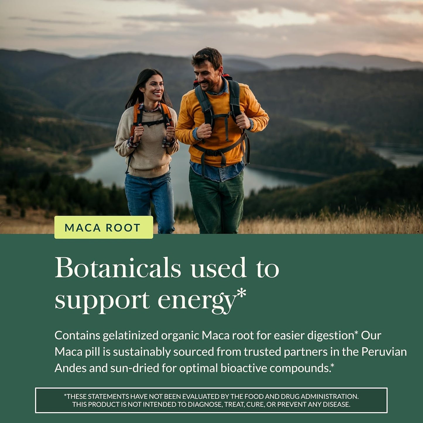 Gaia Herbs Maca Root - Caffeine-Free Natural Energy Supplement 60