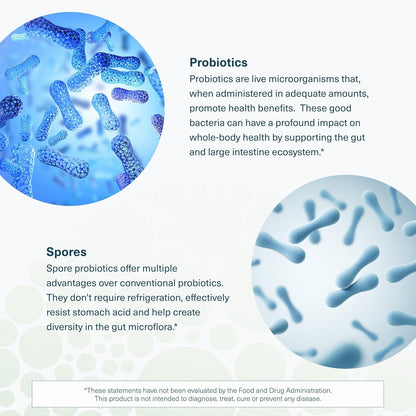 Youtheory Spore Probiotic Advanced, Black, 60 Count