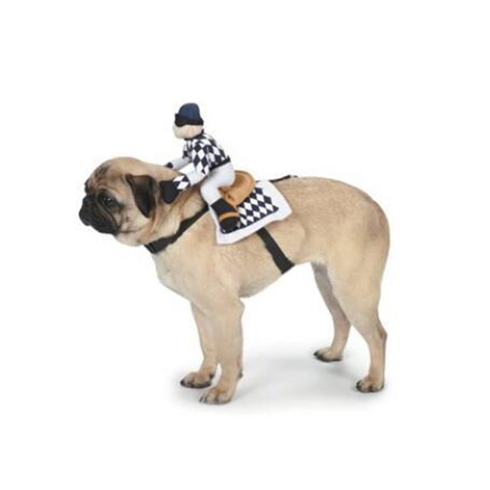 Pet Cowboy Horse Riding Transfiguration