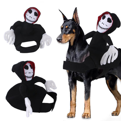 Pet Cowboy Horse Riding Transfiguration