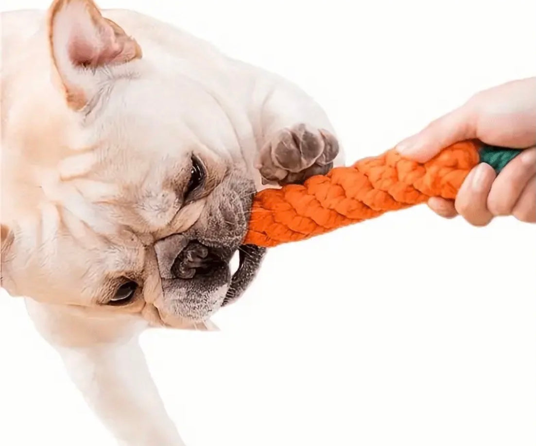 Carrot-Shaped Dog Chew Toy with Rope Knot